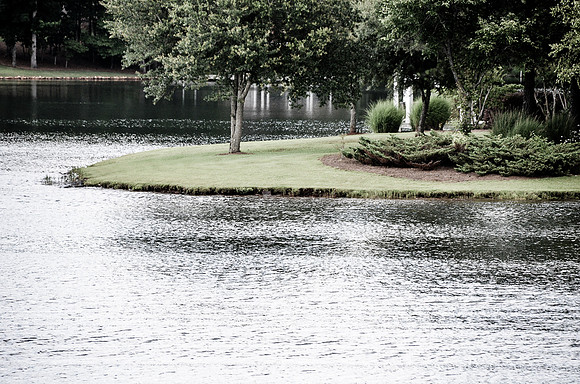 CDS_0728