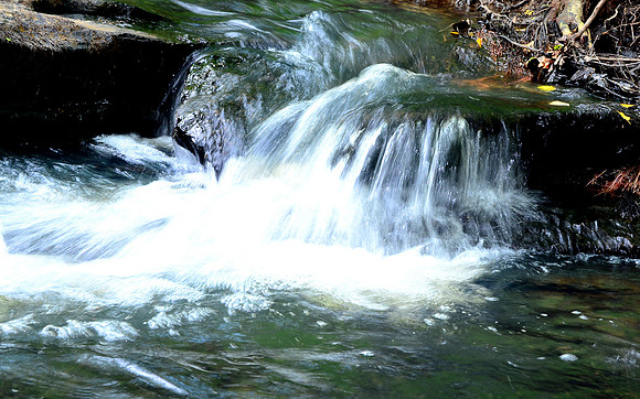 DSC_3346