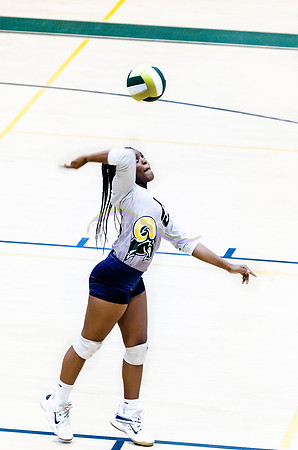 _CDS8515-Edit.jpg