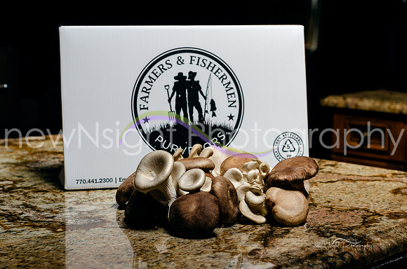 _CDS9531-Edit