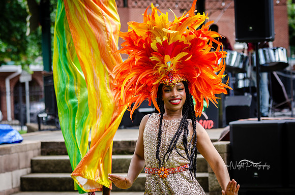 _DSC0355